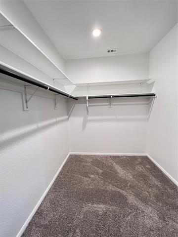 Building Photo - 617 Blacktail Dr