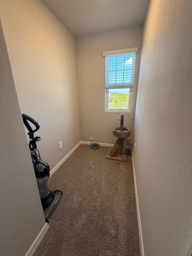 Building Photo - 3919 Radiant Mountain Dr