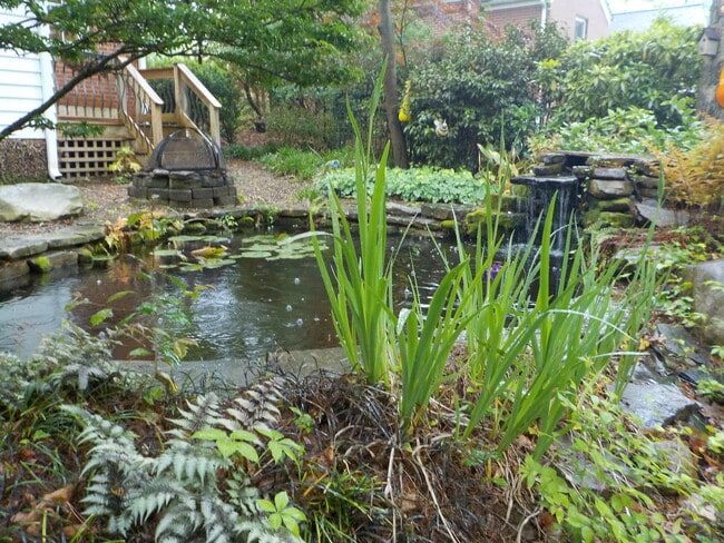 Soothing Pond - 415 10th St NW