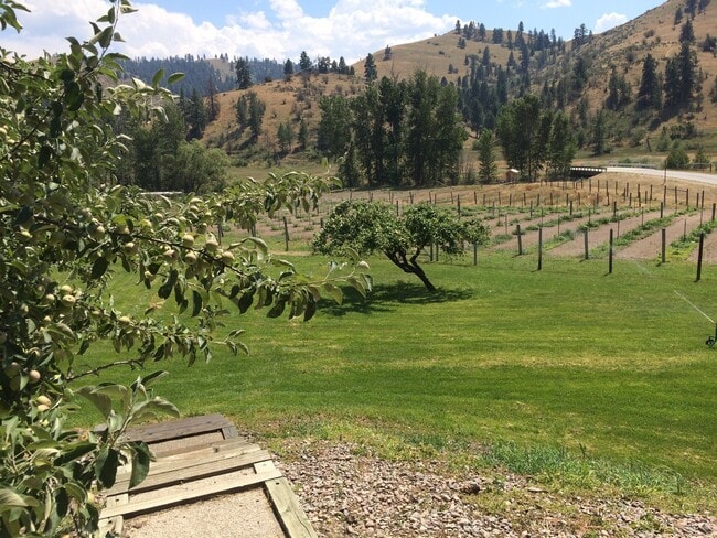 Building Photo - Peaceful 1 Bedroom / 1 Bath Executive Cabin on Sleeping Child – Stunning Views & Premium Comforts