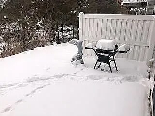 Building Photo - 321 Heritage Trl