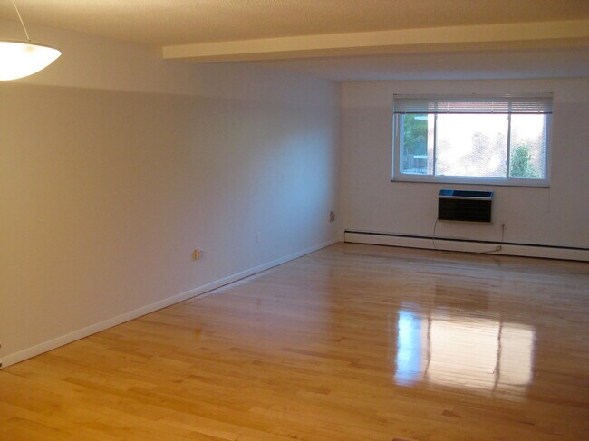 Open floor plan - 287 Harvard St