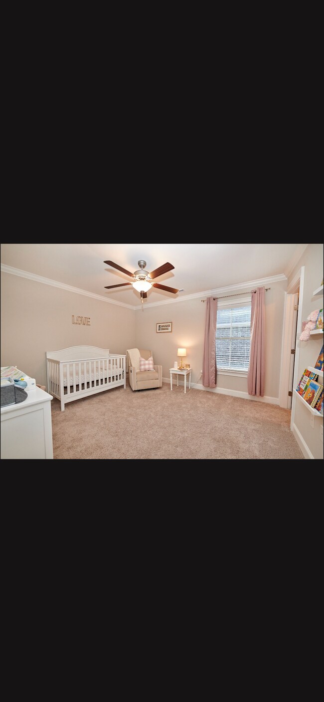 Building Photo - 2525 Celia Ct