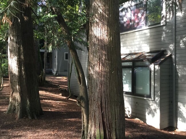 Building Photo - CUTE REDMOND CONDO NEAR MICROSOFT!