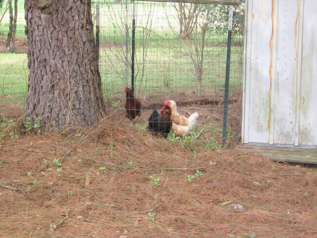 Building Photo - SMITHFIELD