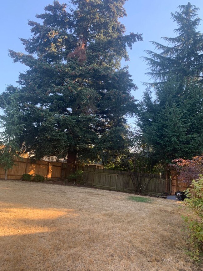 Building Photo - ***Newly Renovated Spacious and Bright 3 B...