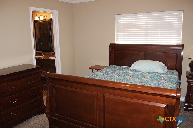 Building Photo - 3009 Lenora Dr