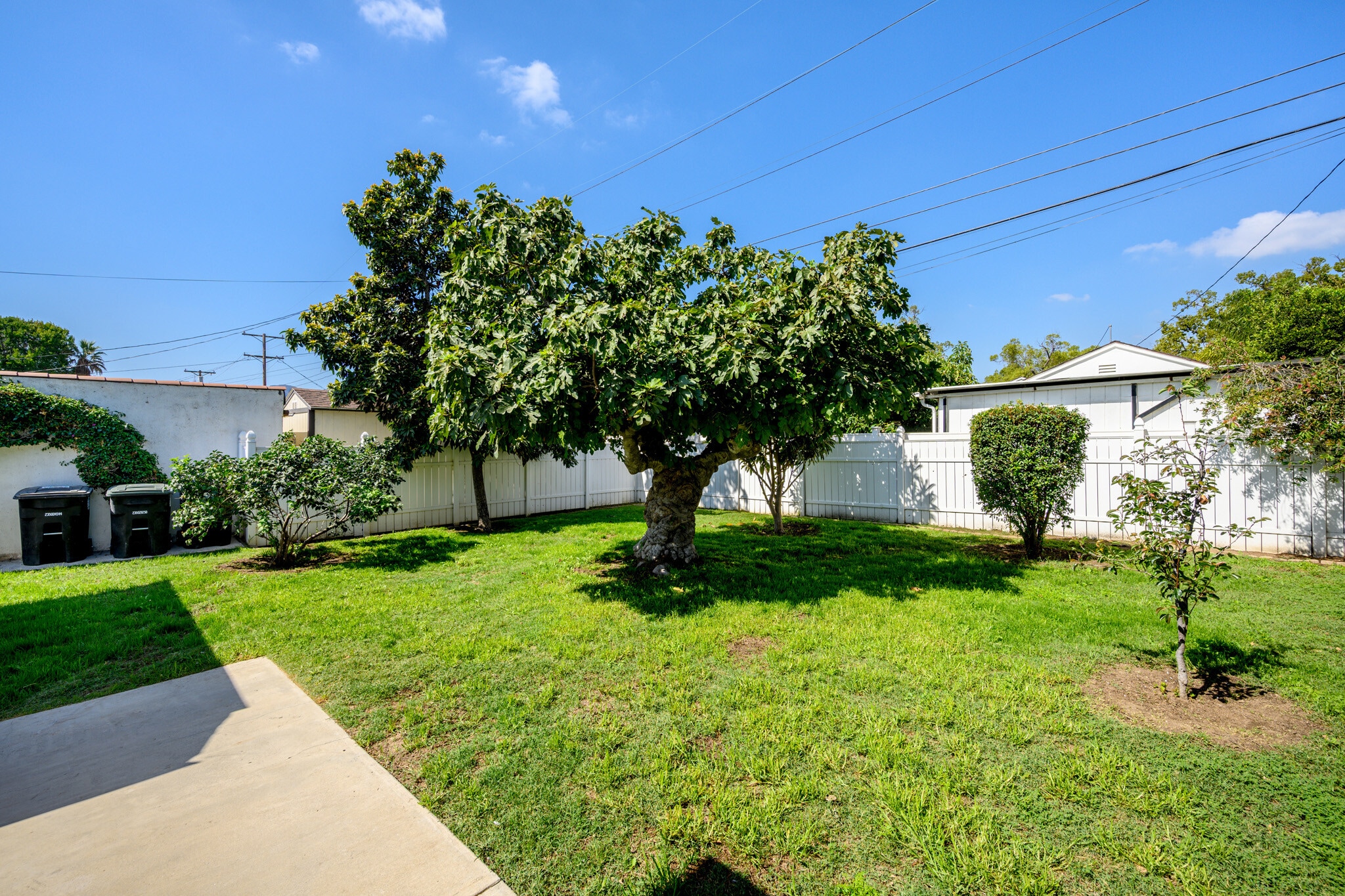 Building Photo - 905 Graynold Ave