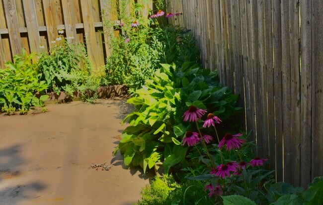 Back patio - 5010 Kenilworth Ave
