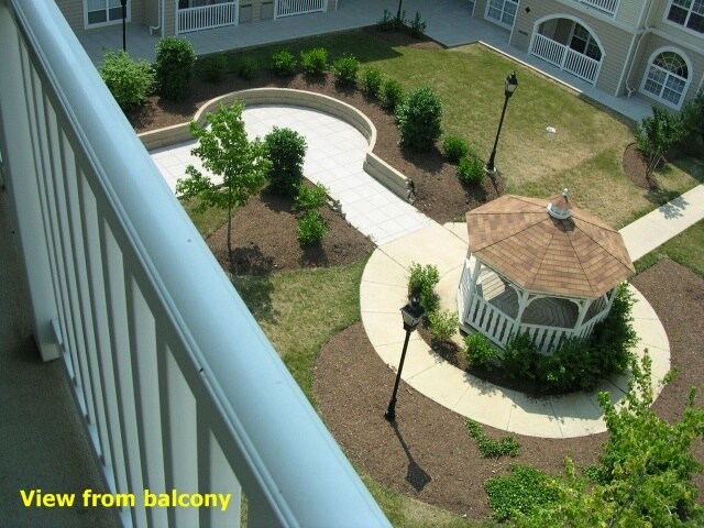 View from Patio - 4561 Strutfield Ln