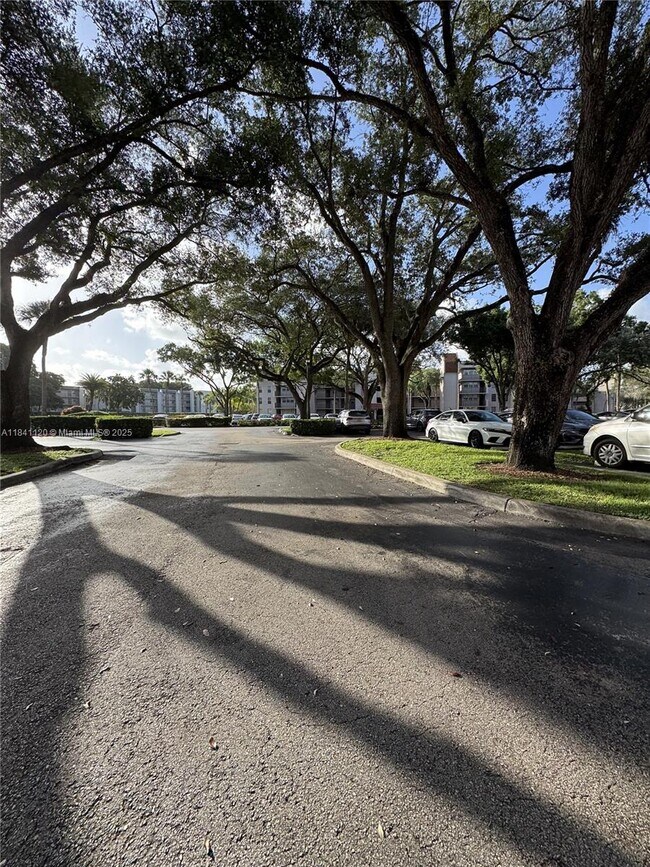 Building Photo - 1811 Sabal Palm Dr