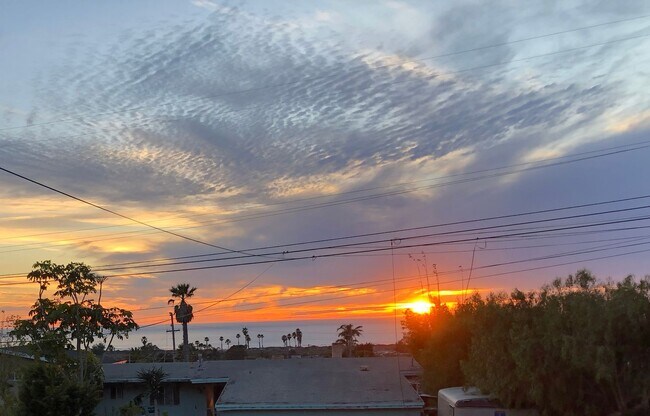 Building Photo - 3/2 single level ocean view home