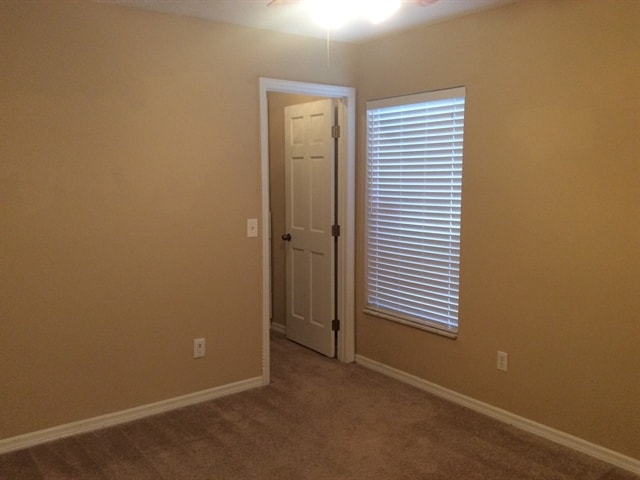 Building Photo - 12716 Forestedge Cir