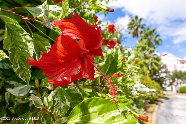 Building Photo - 800 Del Rio Way