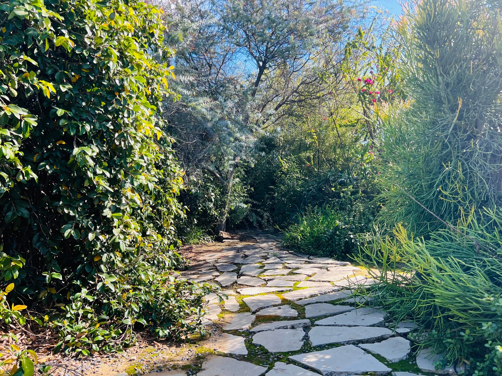 Building Photo - 5177 Carlingford Ave