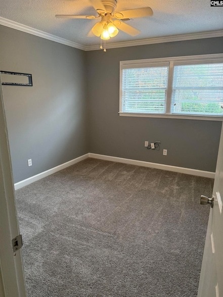 Building Photo - 517 Innsbrook Dr