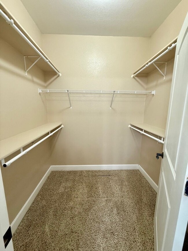 Building Photo - Gorgeous 1 level