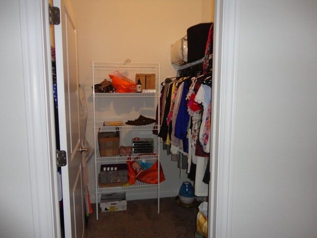 Building Photo - Large Condo For Rent