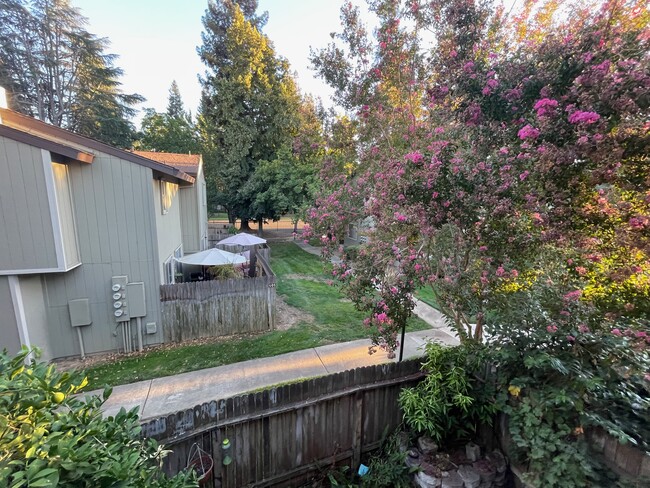 View from primary bedroom - 132 Luna Grande Cir