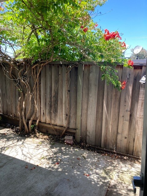 private back yard - 3213 Alma St