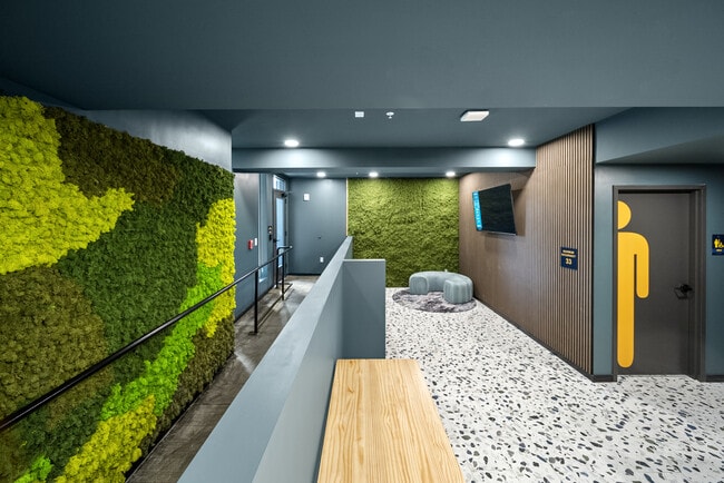 Building Photo - The Hive Apartments