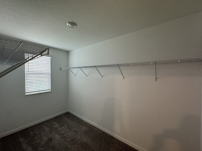 Building Photo - 11634 Radiant Shr Lp