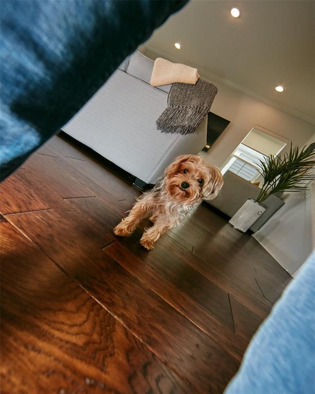 Building Photo - 13408 Beebe Aly