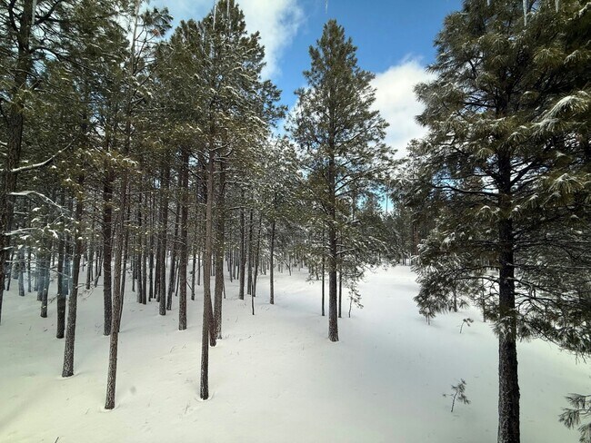 Building Photo - 921 Rainbow Mine Rd