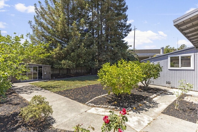 Building Photo - Central Novato Home with Large Yard and A/C!