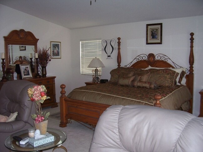 Building Photo - LACEBARK PINE