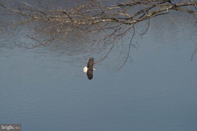Building Photo - 307 Larkspur Rd