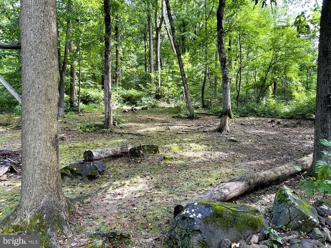 Building Photo - 104 Delphi Rd