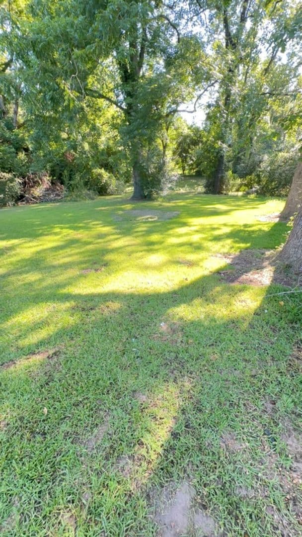 Building Photo - 501 Norvell St