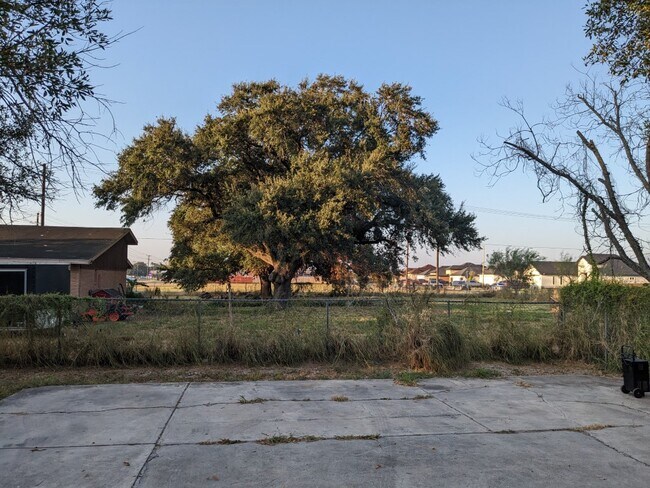 Building Photo - 1439 N Alamo Rd