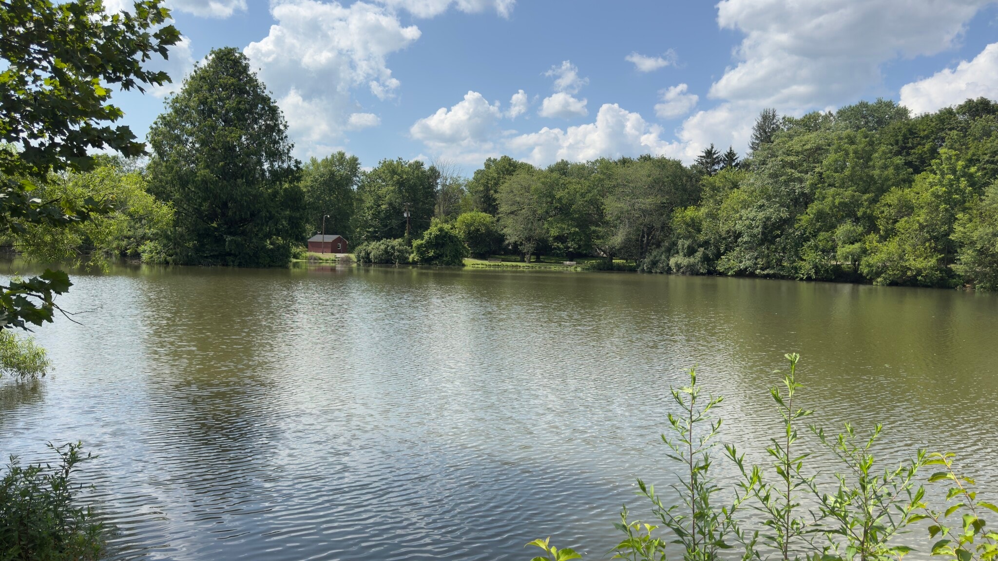 Pond - 5 Evergreen Dr