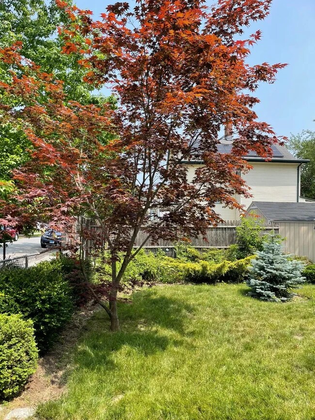 Garden - 105 Newhall St