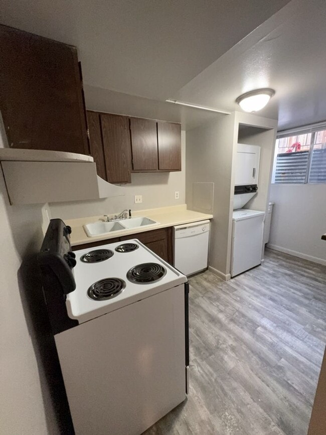 Primary Photo - Updated 3 Bed 1 Bath Basement Apartment