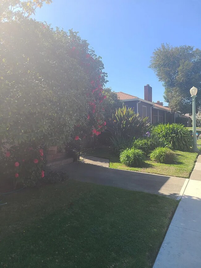 Building Photo - 734-736 McClatchy Way
