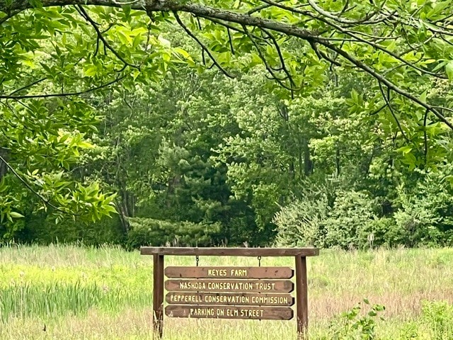 Hiking - 103 Main St