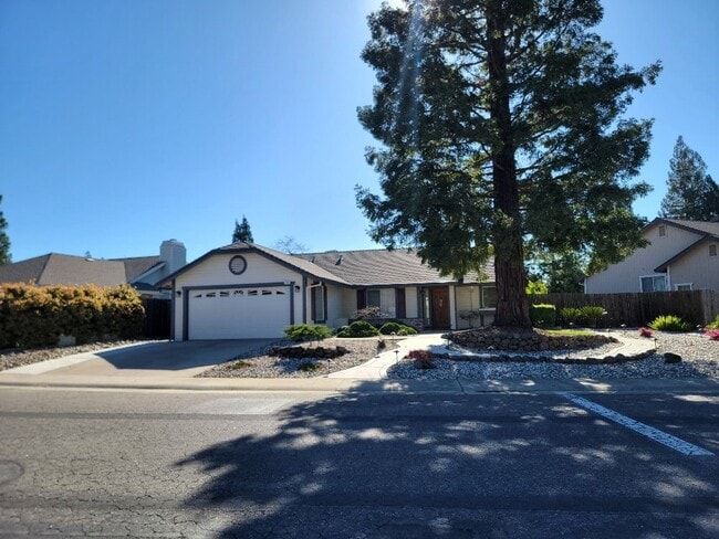 Building Photo - Charming single-family home in Briggs Ranch neighborhood!
