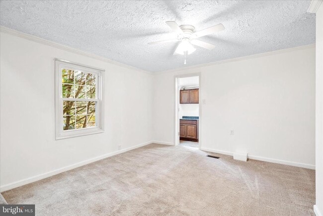 Building Photo - 2060 Flag Marsh Rd