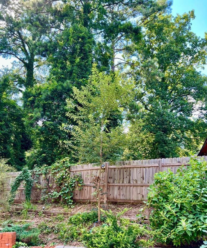 Building Photo - 375 Cologne Dr SE