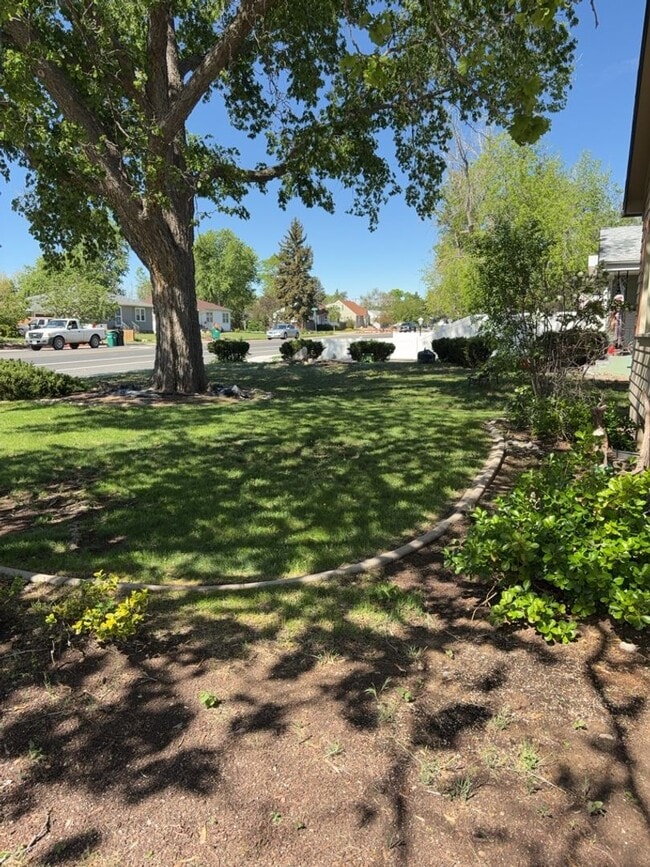 Building Photo - 3 Bed 2 Bath Cottage in Greeley