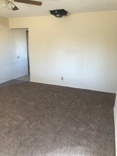 Building Photo - HOME NEAR UNIVERSITY NEW CARPET