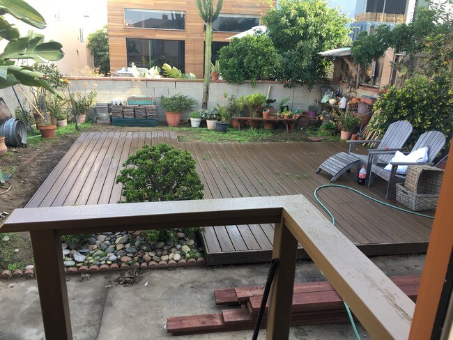 Backyard - 818 Loma Dr