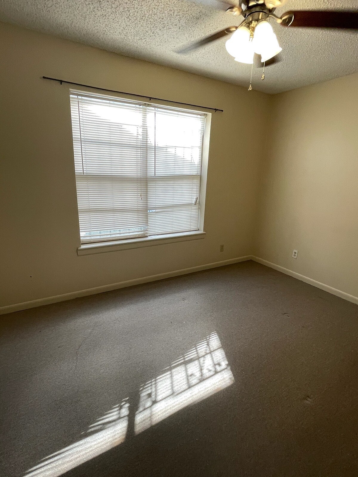 Building Photo - 4902 Marcella Ave