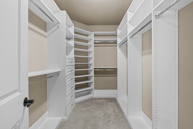 Building Photo - 3688 Horsemint Trail