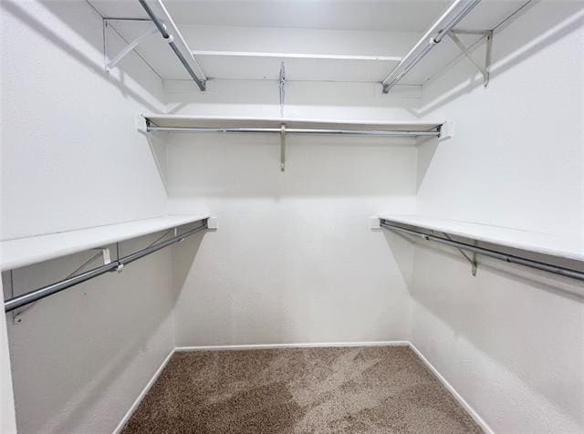 Building Photo - 1304 Creekwood Ct