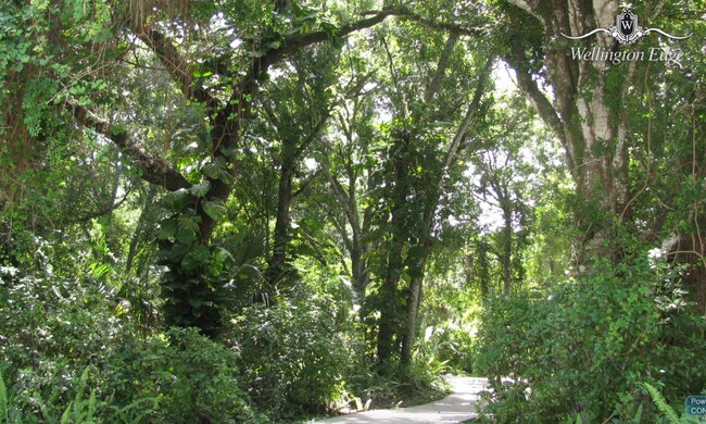 Inside the community - 10667 Oak Bend Way