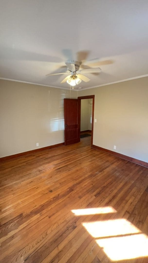 Building Photo - 205 Pineleaf Ln